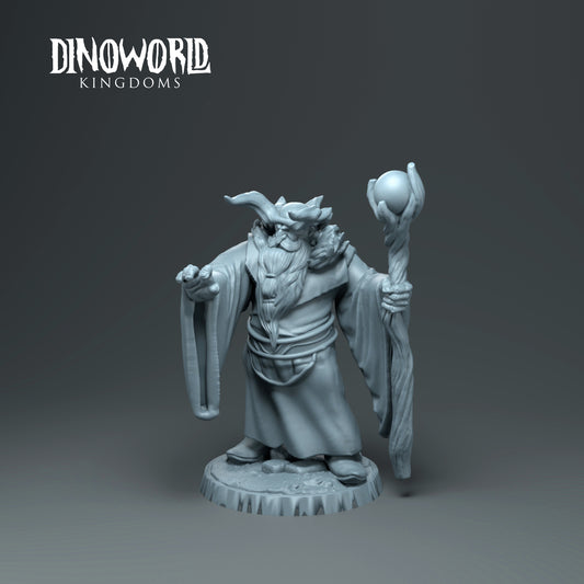 Dinoworld - Kingdoms - Dwarf Druid - DnD/Tabletop/TTRPG Figure Miniature
