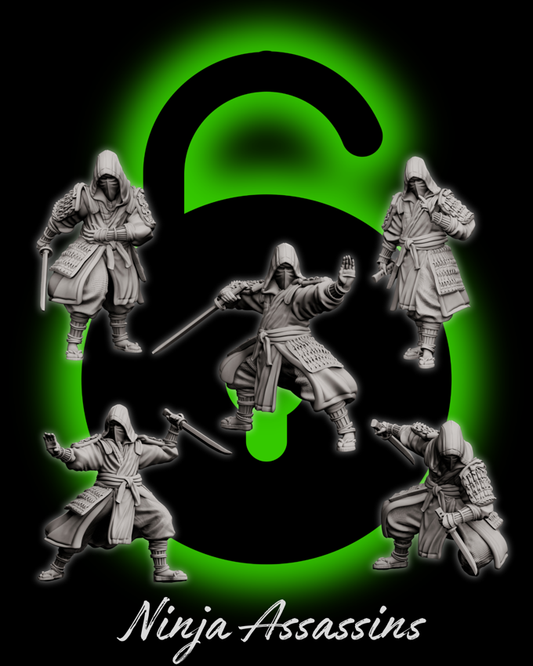 Forged Path - Tokugawa Bushido - Ninja Assassin - DnD/Pathfinder/TTRPG Figure