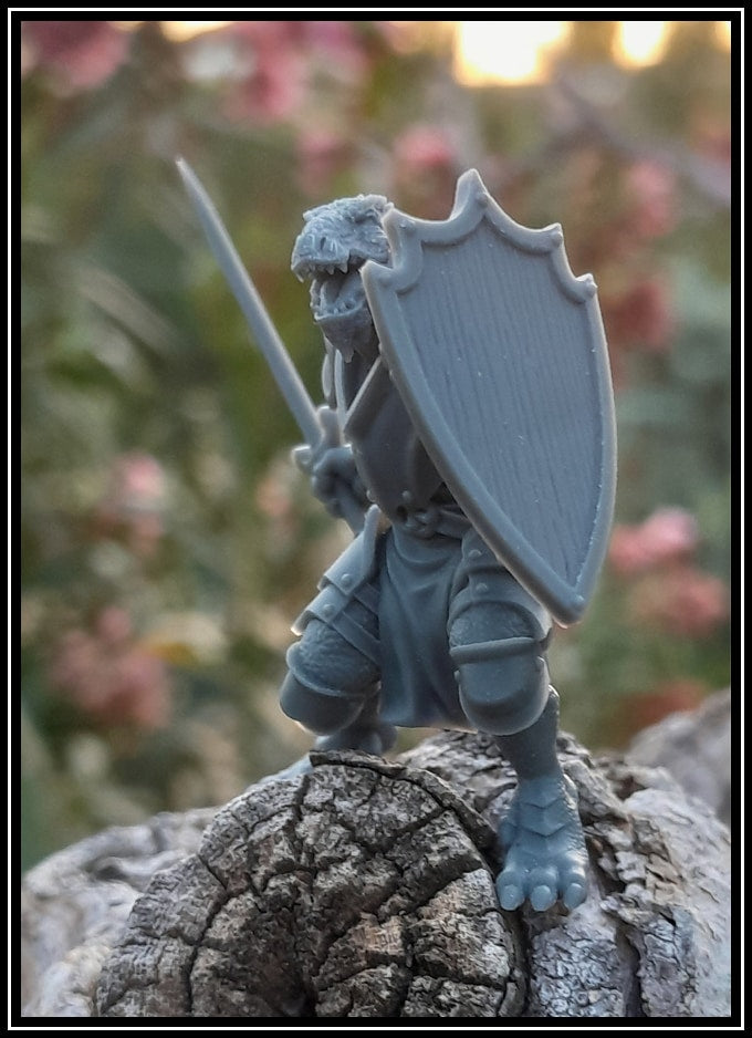 STL - Dragonborn Fighter - DnD/TTRPG Figure/Miniature