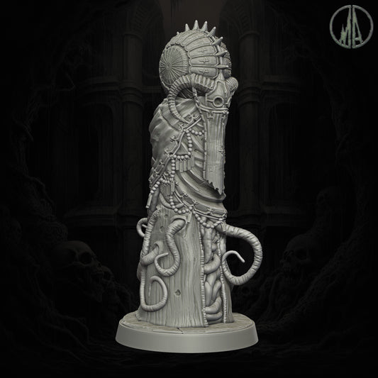 Monolith Arts - Echoes of the Void - Fortune Teller - DnD/TTRPG Figure/Miniature