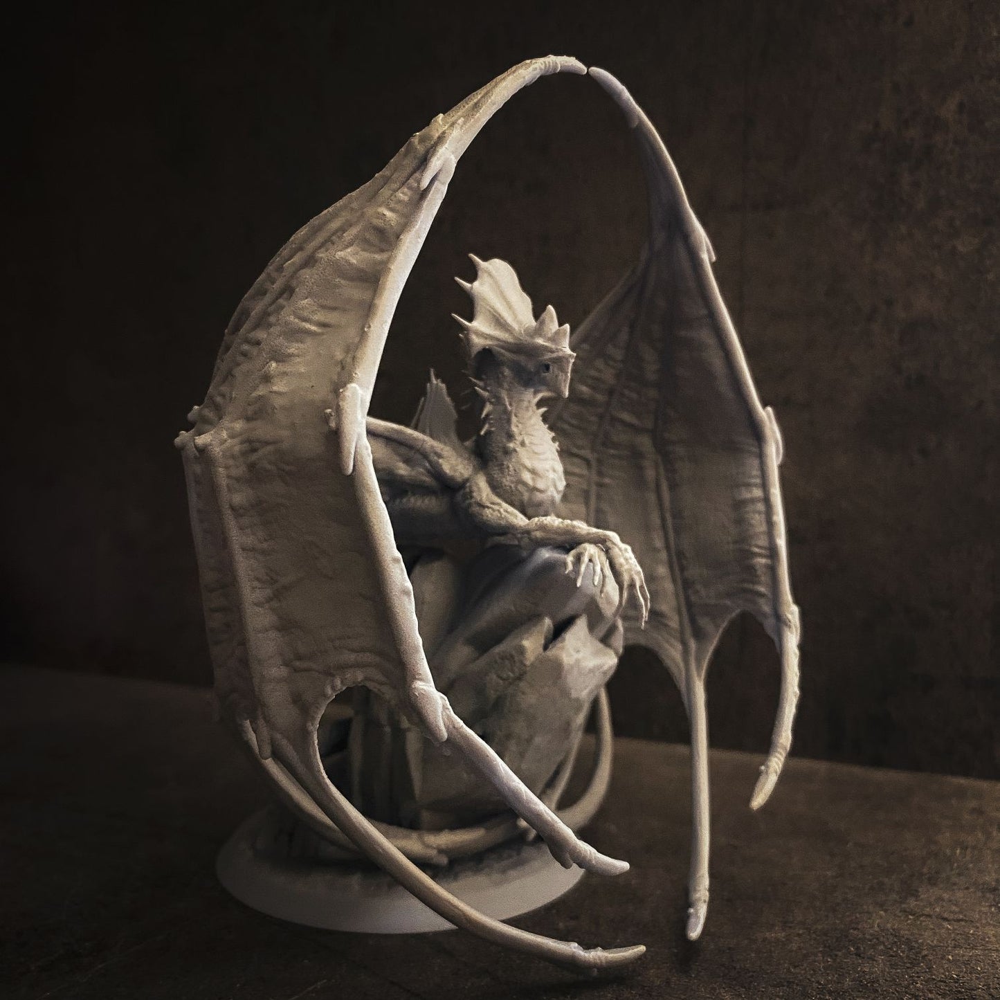 One Dragon Coin - Zyrki - DnD/TTRPG Figure/Miniature