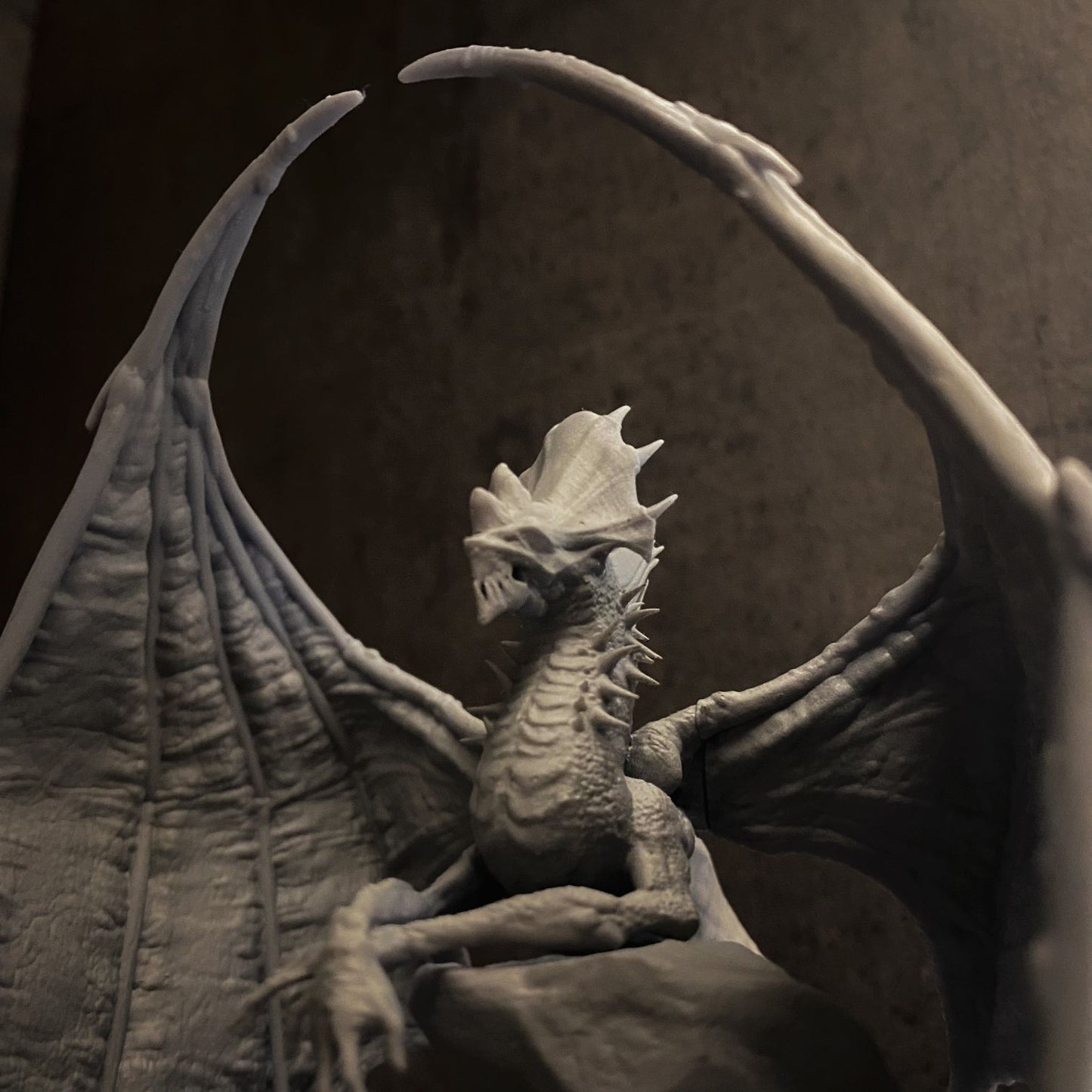 One Dragon Coin - Zyrki - DnD/TTRPG Figure/Miniature