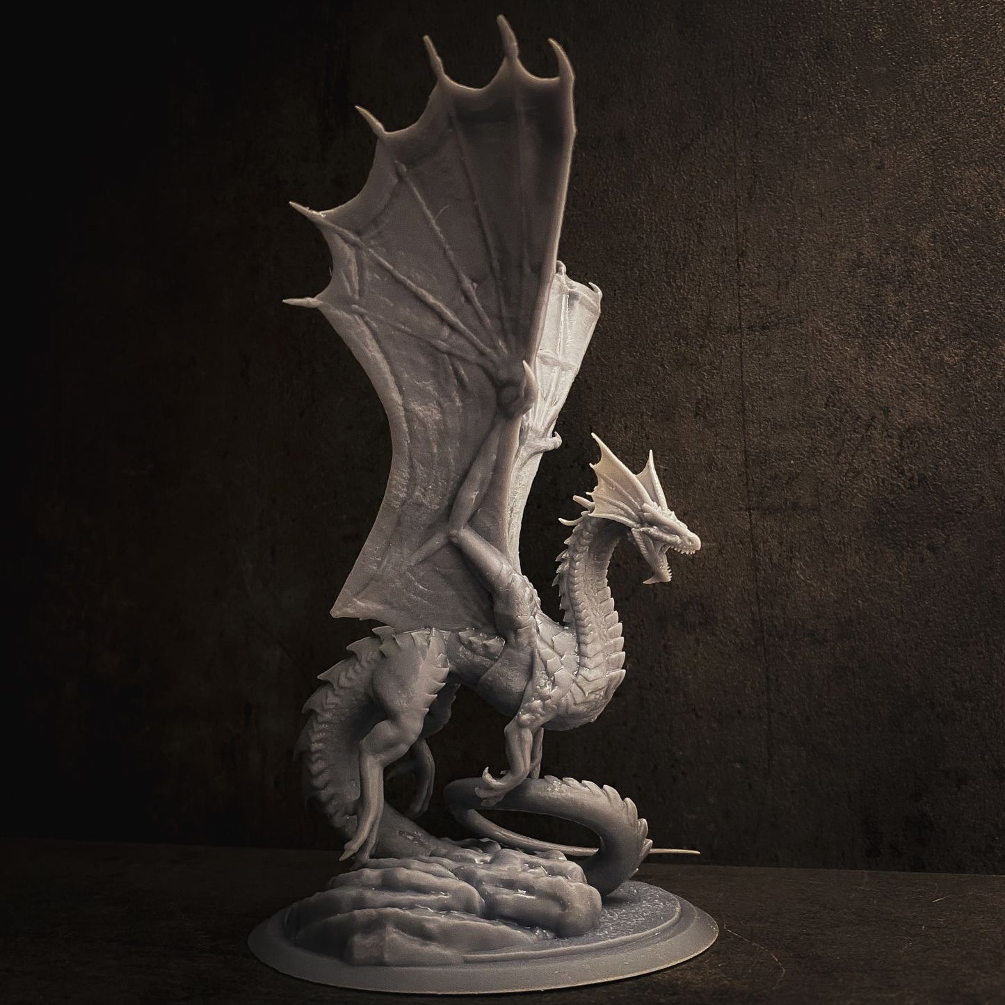 One Dragon Coin - Lyastra - DnD/TTRPG Figure/Miniature