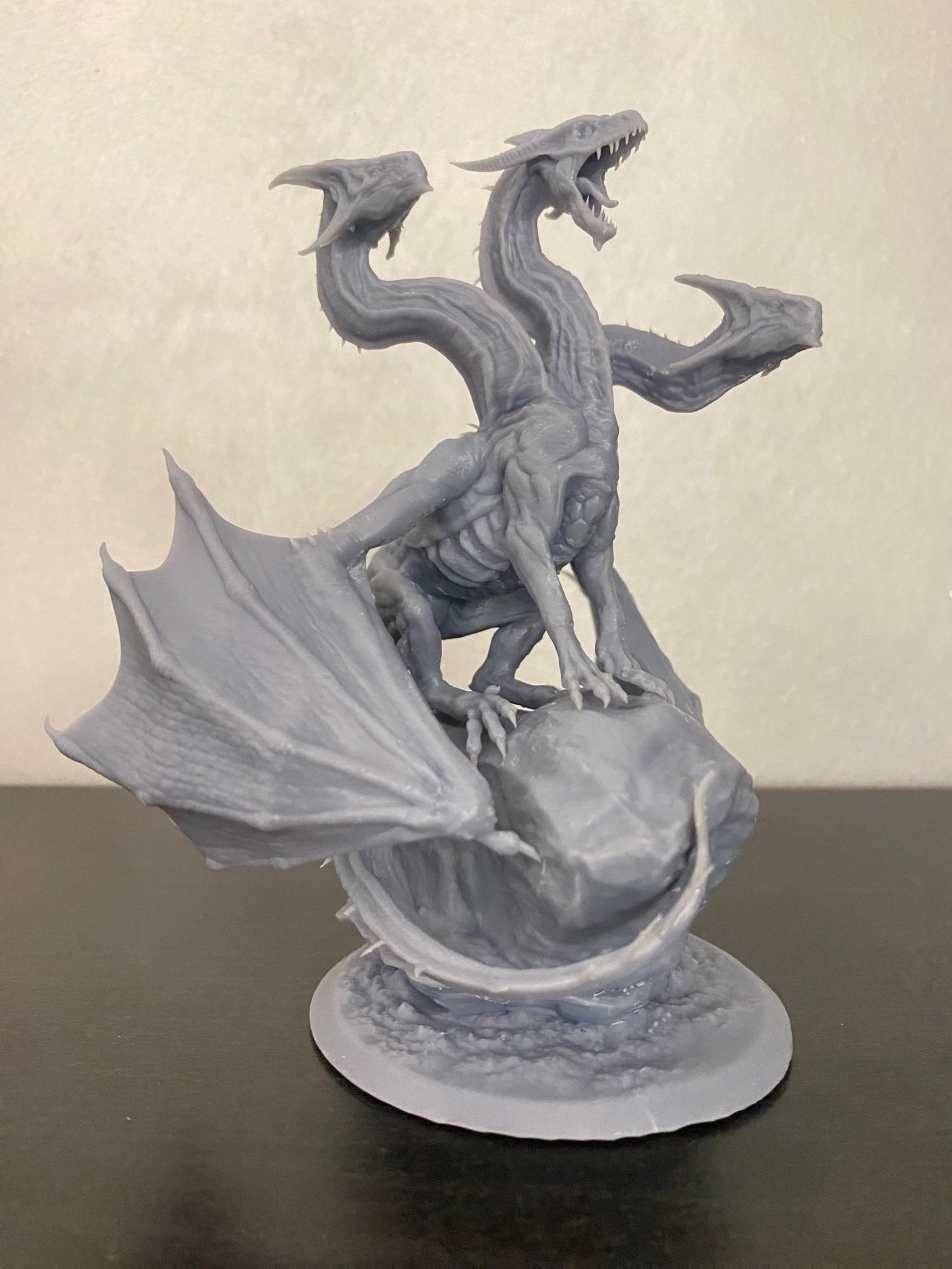 One Dragon Coin - Threexia - DnD/TTRPG Figure/Miniature