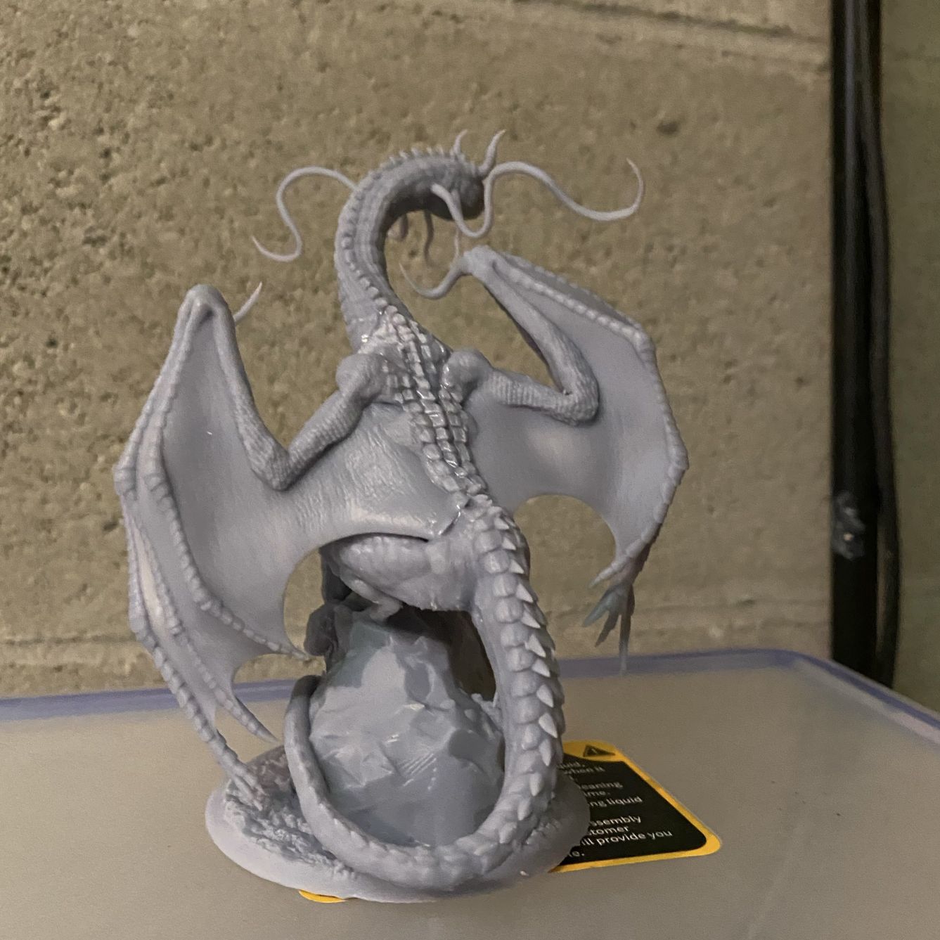 One Dragon Coin - Dream Eater #1 - DnD/TTRPG Figure/Miniature