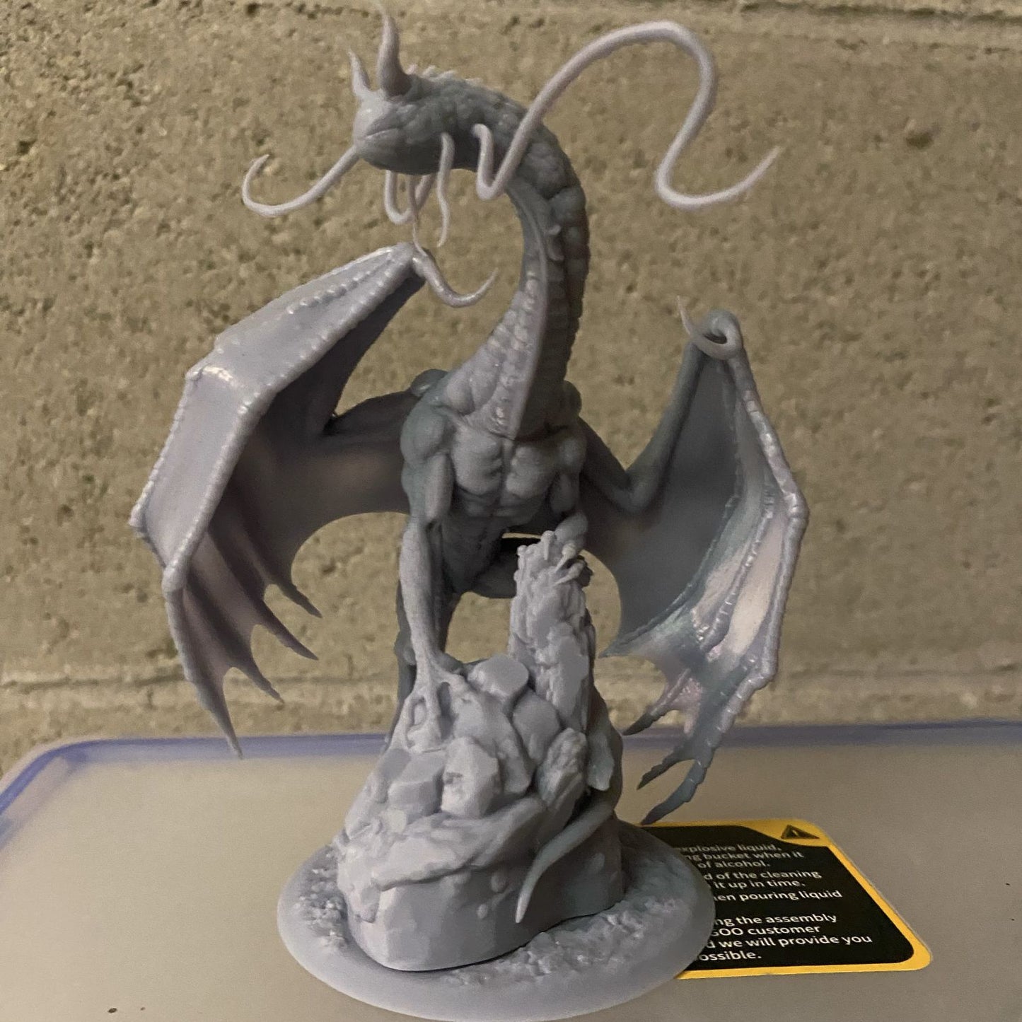 One Dragon Coin - Dream Eater #1 - DnD/TTRPG Figure/Miniature