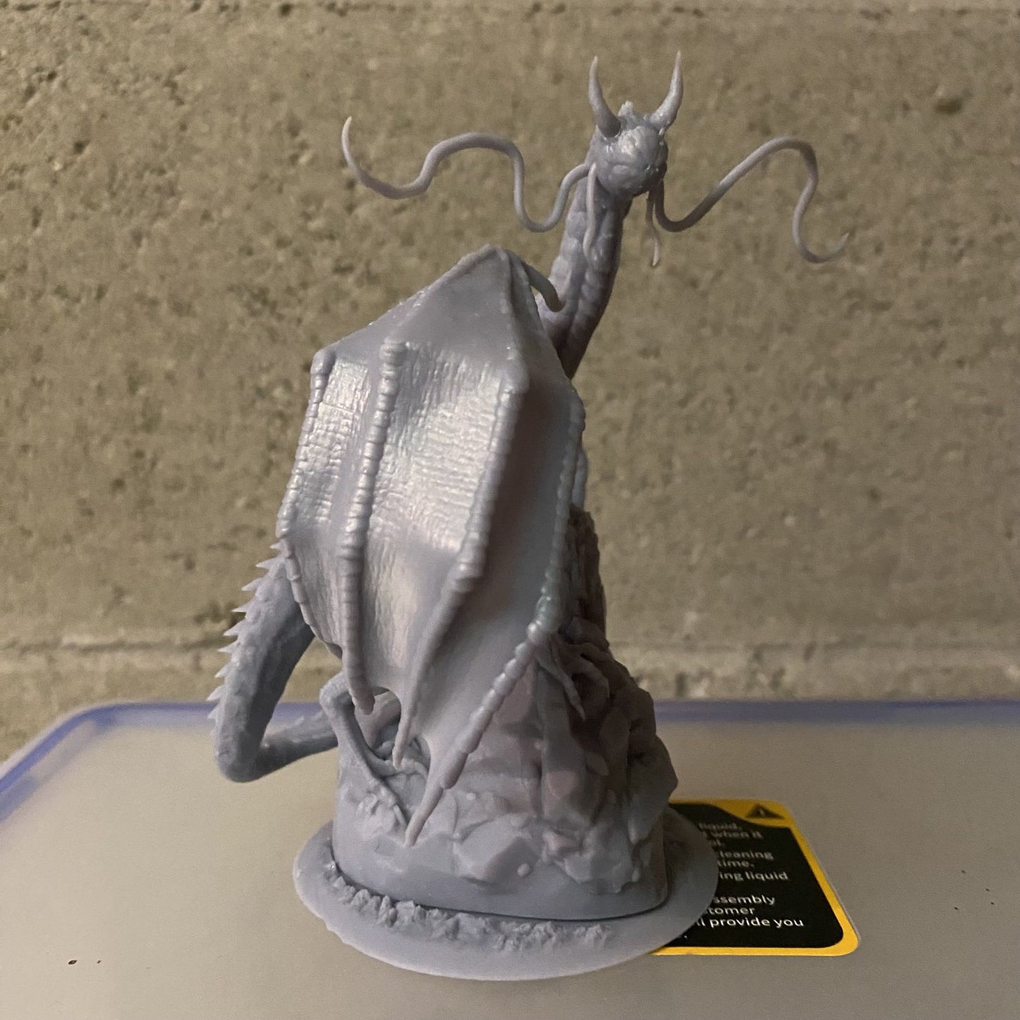 One Dragon Coin - Dream Eater #1 - DnD/TTRPG Figure/Miniature