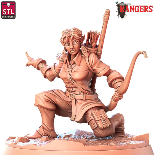 STL Miniatures - Tracker - DnD/TTRPG Figure/Miniature