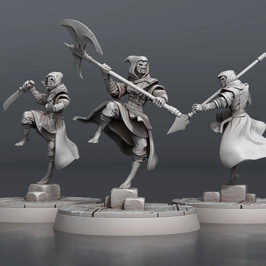 STL Miniatures - Temple Guardians #3 - DnD/TTRPG Figure/Miniature