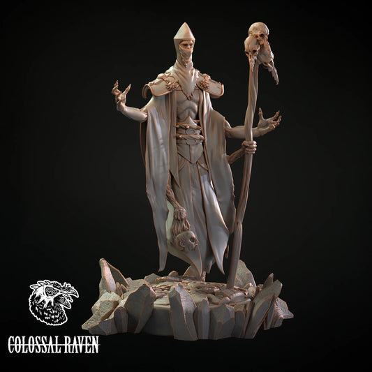 Colossal Raven - Undead Wizard - DnD/Pathfinder/TTRPG Figure