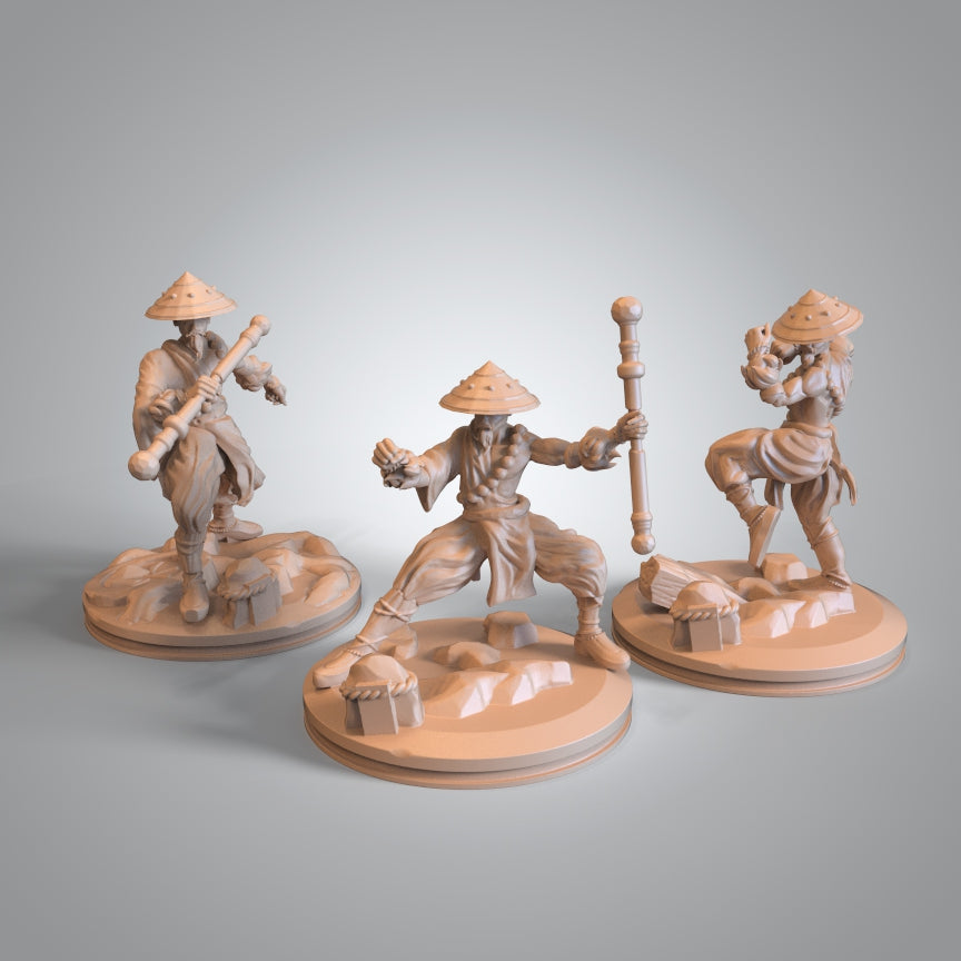 Mojibake - Battle for Genbushan - Human Monk - DnD/TTRPG Figure/Miniature