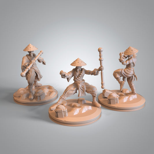 Mojibake - Battle for Genbushan - Human Monk - DnD/TTRPG Figure/Miniature