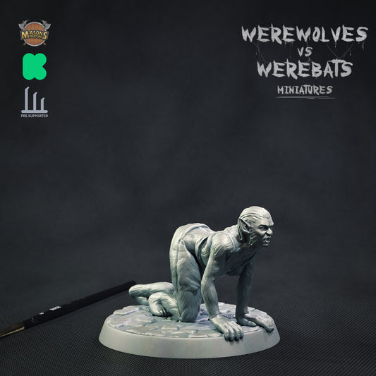 Masons Miniatures - Shewolf #2 - DnD/TTRPG Figure/Miniature
