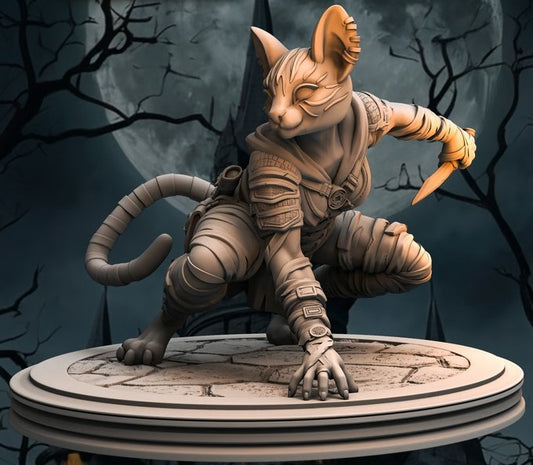 Print Fantasy - Heroes of Eldengaard 2 - Slyra Swiftshadow - 75mm Pin Up/Figure/Model/Diorama