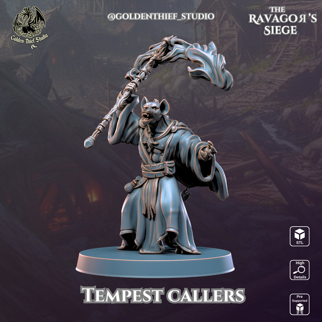 Golden Thief Studio - Tempestcallers - DnD/TTRPG Figure/Miniature