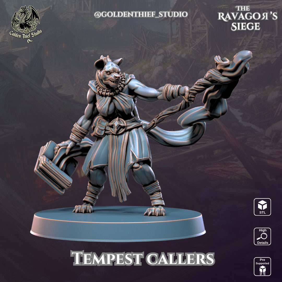 Golden Thief Studio - Tempestcallers - DnD/TTRPG Figure/Miniature