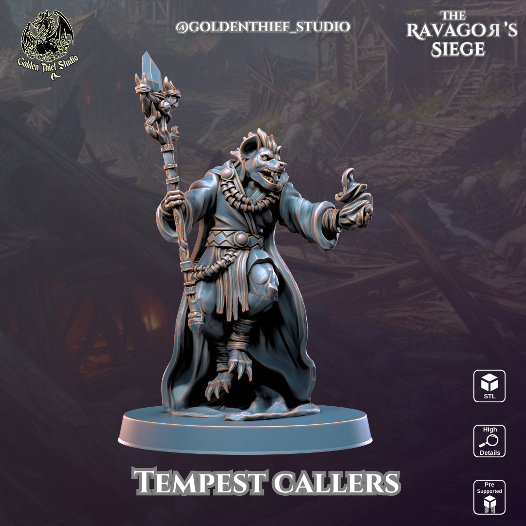 Golden Thief Studio - Tempestcallers - DnD/TTRPG Figure/Miniature