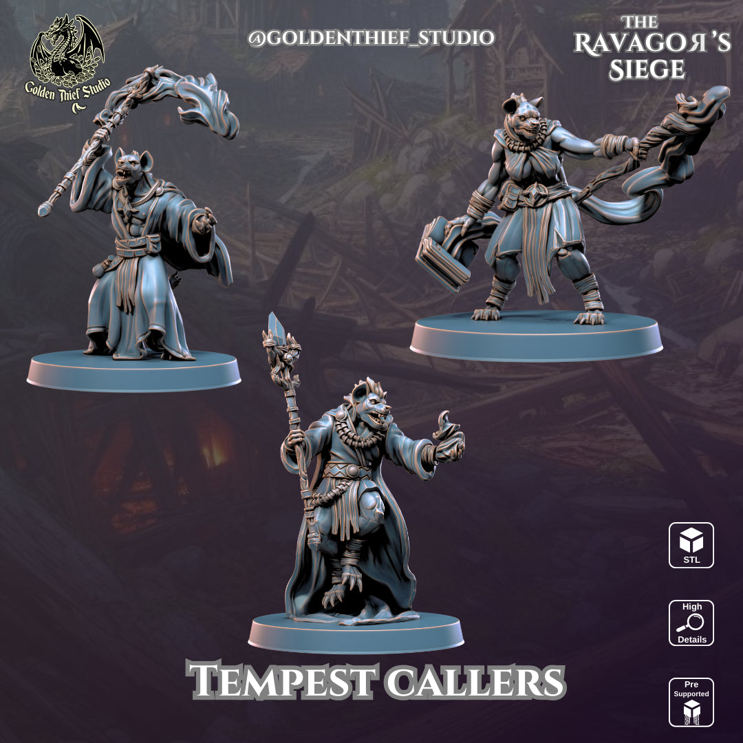 Golden Thief Studio - Tempestcallers - DnD/TTRPG Figure/Miniature