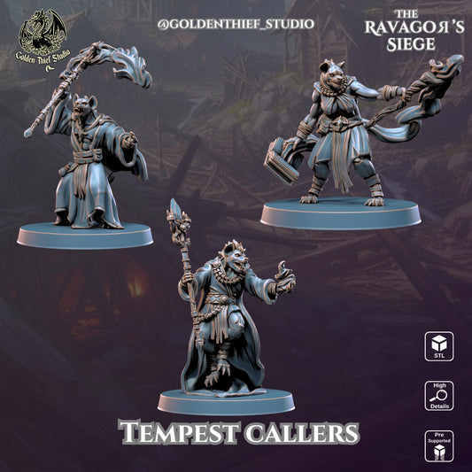Golden Thief Studio - Tempestcallers - DnD/TTRPG Figure/Miniature