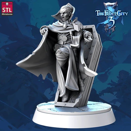 STL Miniatures - Frost City - Vampire #1 - DnD/TTRPG Figure/Miniature